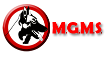 MGMS Sécurité
